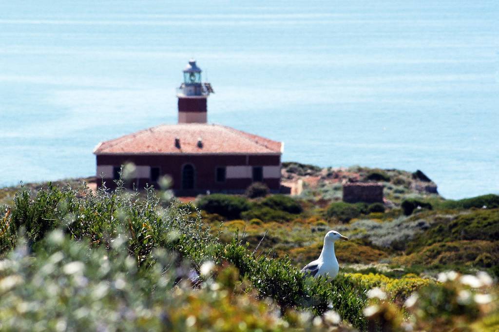 giglio 2